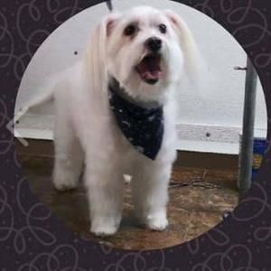 Meet your Posher, Marie